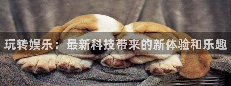 sunbet申慱官网