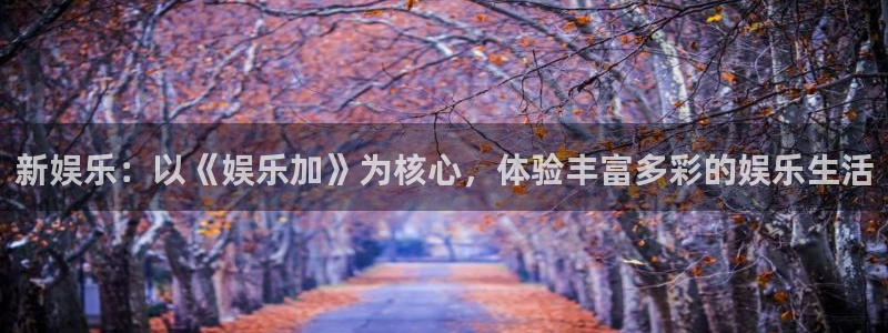 sunbet申搏