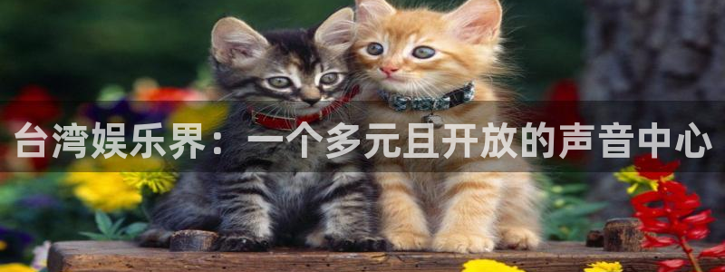 sunbet申搏