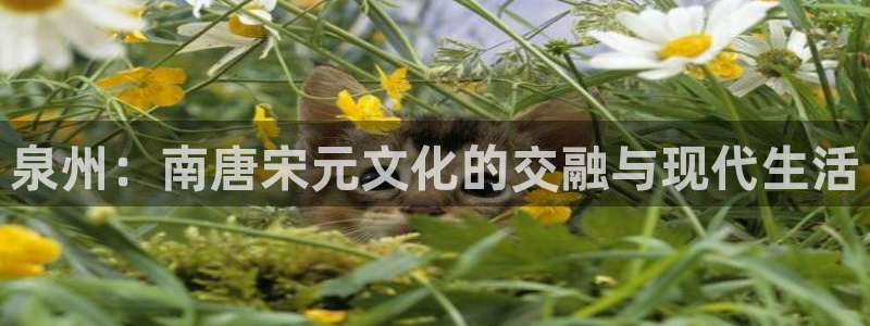 申慱sunbet苹果app