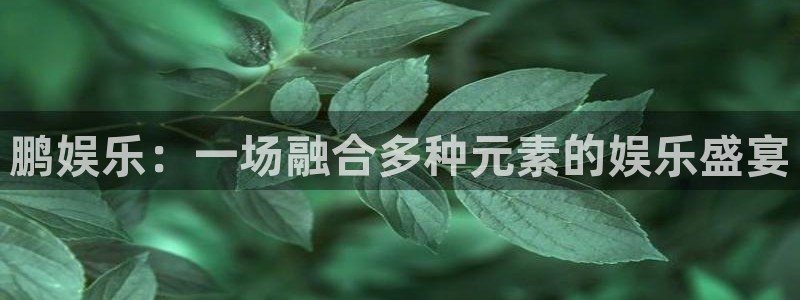 sunbet申搏