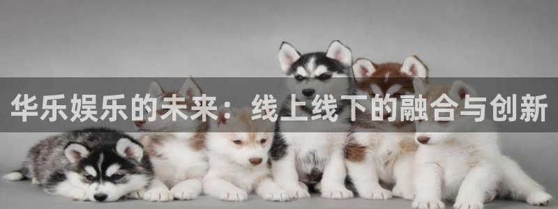 sunbet集团中国官网入口